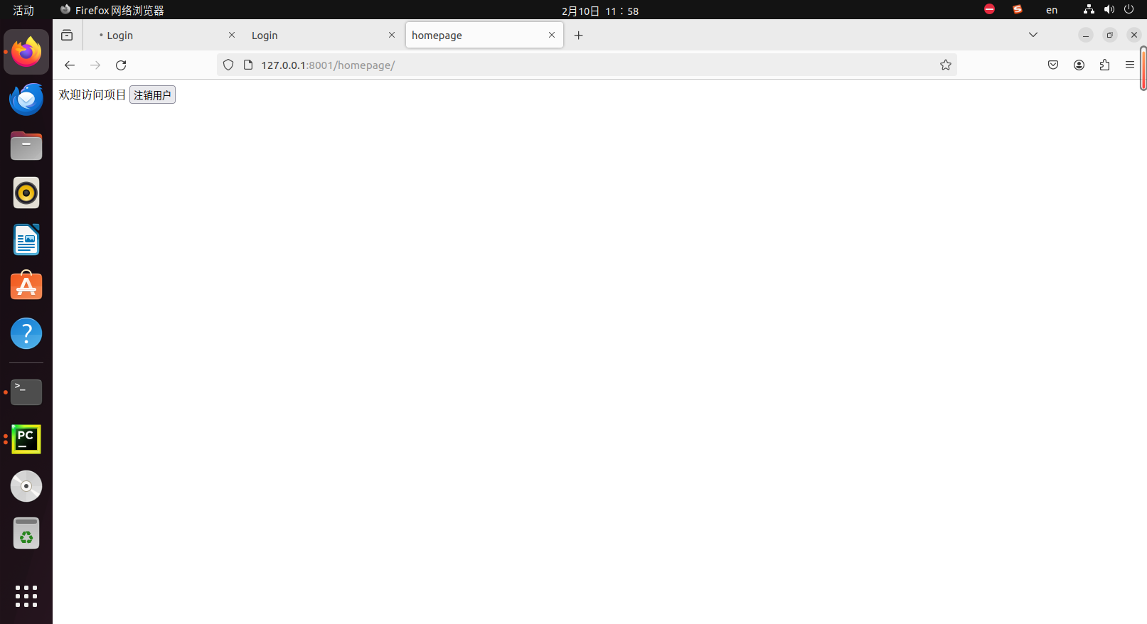 image-20240210115823564