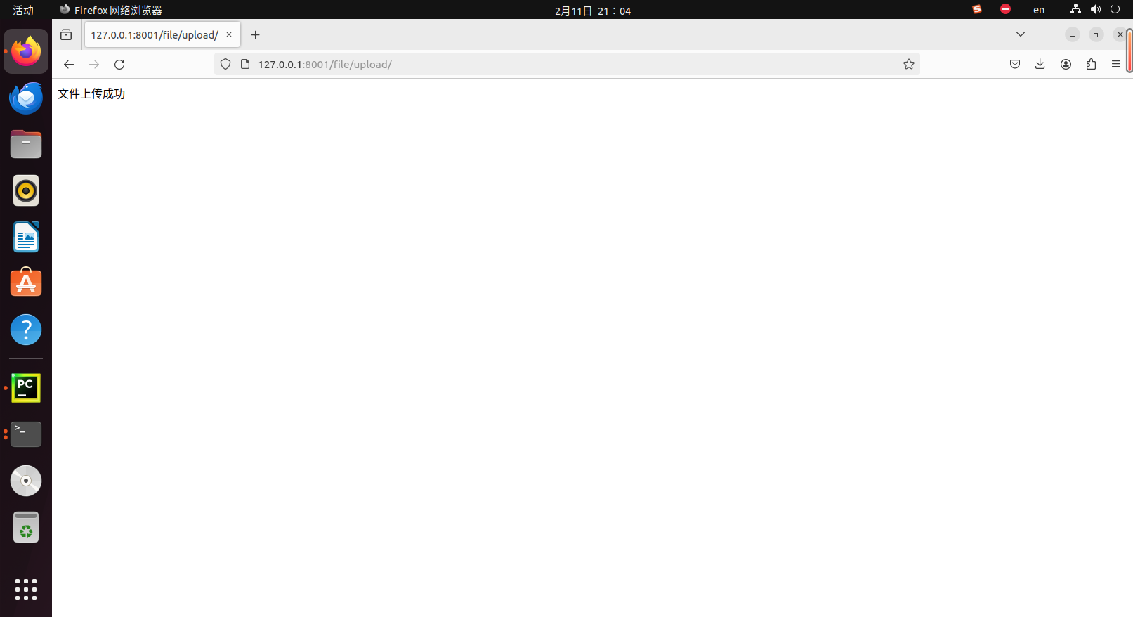 image-20240211210448232