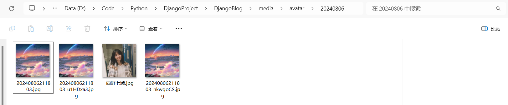 image-20240806214759622